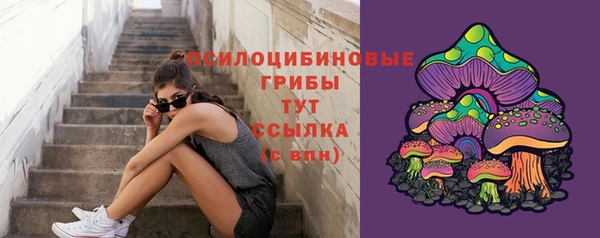 спиды Алексин