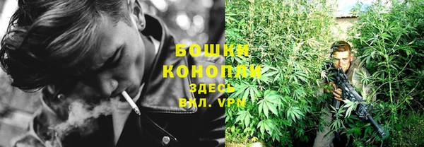 дурь Алексеевка