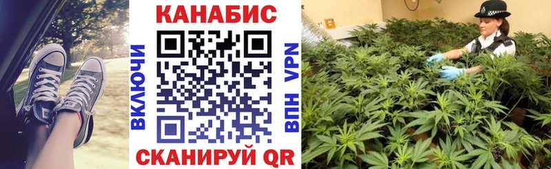 где найти наркотики  Болхов  МАРИХУАНА тримм 